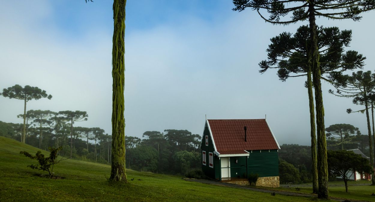 Serra Catarinense (imagem: Canva)