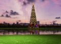 Árvore de Natal de Curitiba (imagem: Divulgação)