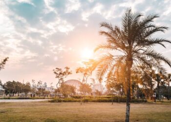 Parque Villa-Lobos (imagem: Canva)