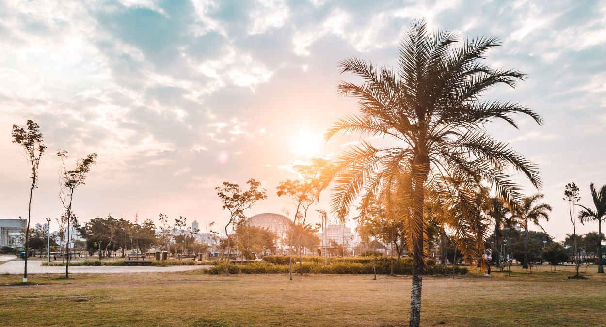 Parque Villa-Lobos (imagem: Canva)