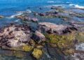 Ilha dos Lobos (imagem: Wikimedia Commons)
