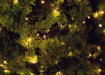 Natal (imagem: Canva)