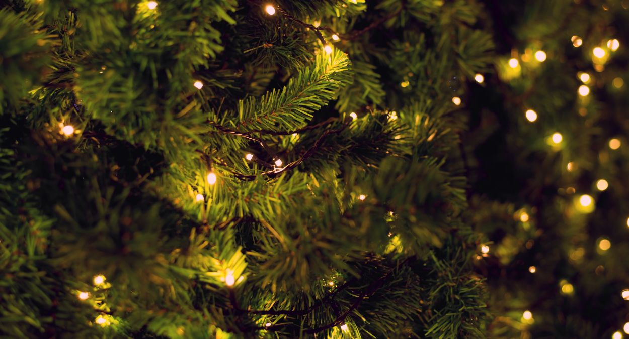 Natal (imagem: Canva)