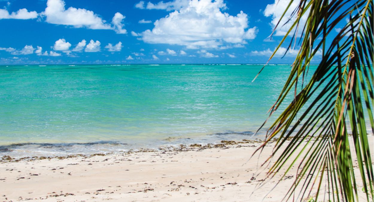 Praia do Patacho (imagem: Canva)