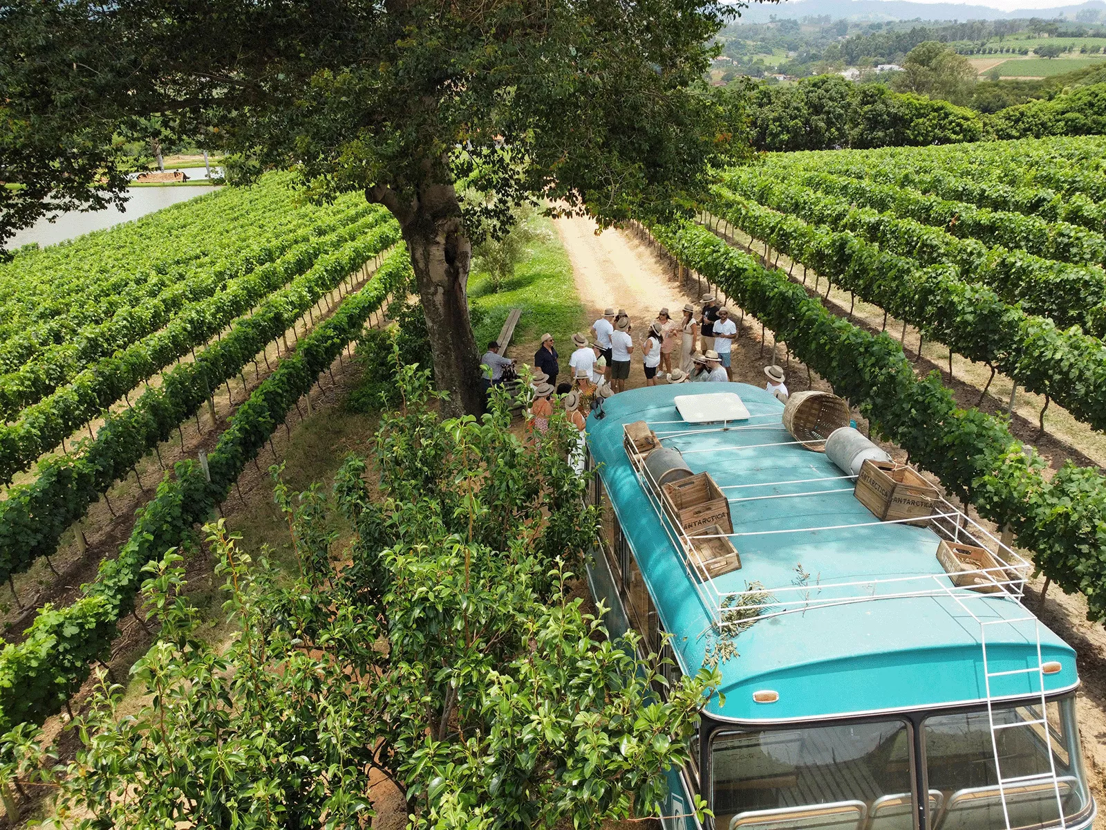 Casa Geraldo (imagem: Reprodução)