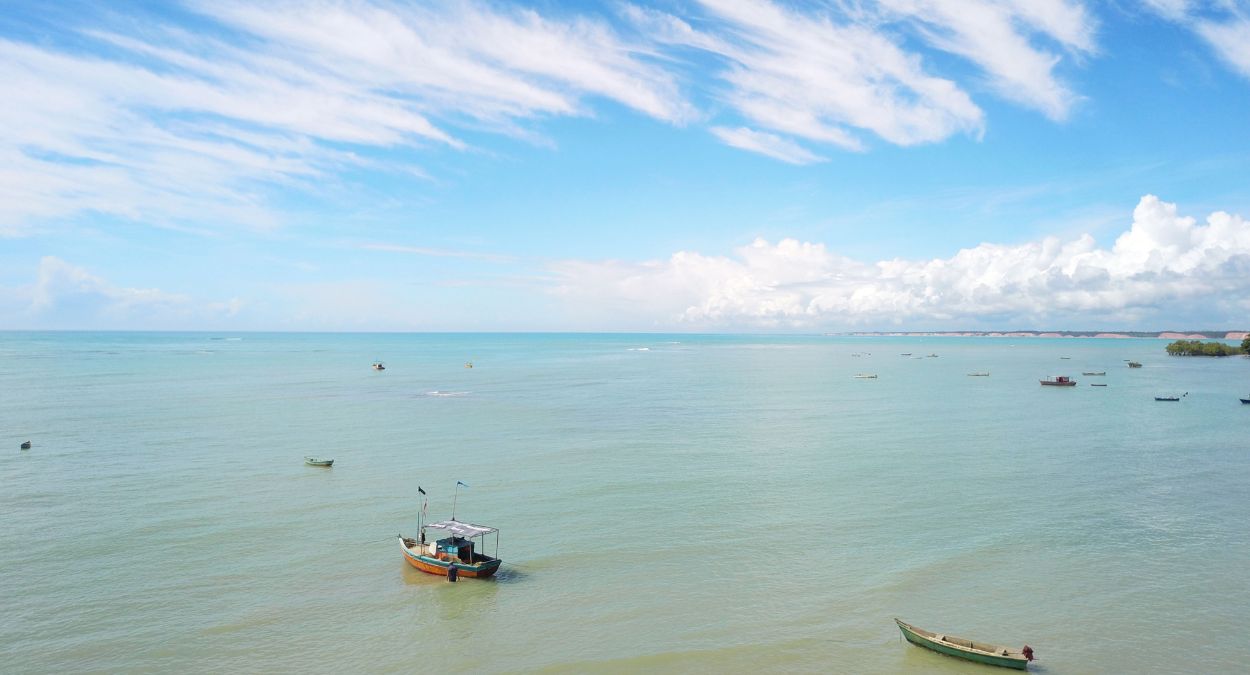 Horta em Apartamento: 7 Verduras e Temperos que Crescem sem Sol Direto