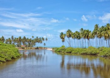 Japaratinga (imagem: Wikimedia Commons)