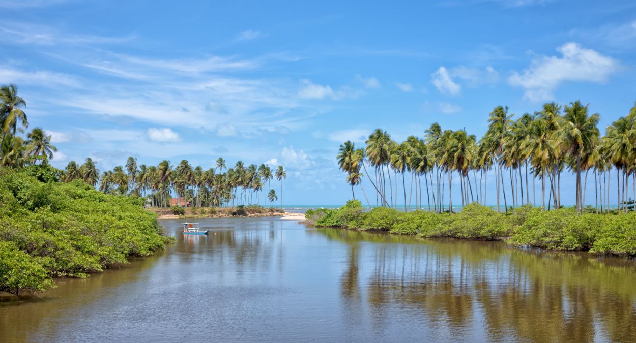 Japaratinga (imagem: Wikimedia Commons)