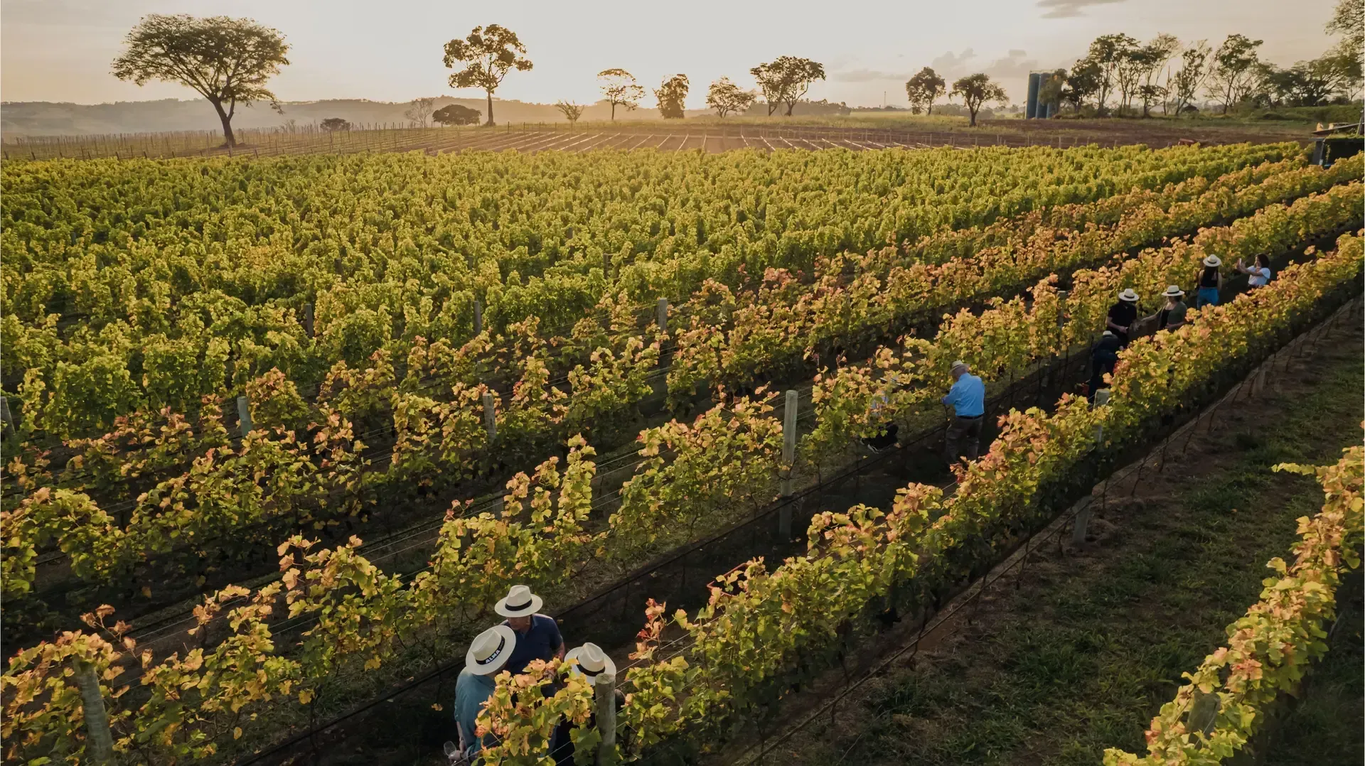 Almas Gerais (imagem: Reprodução)