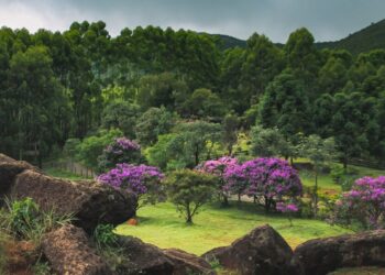 Poços de Caldas (imagem: Gustavo Asciutti - Getty Images via Canva)