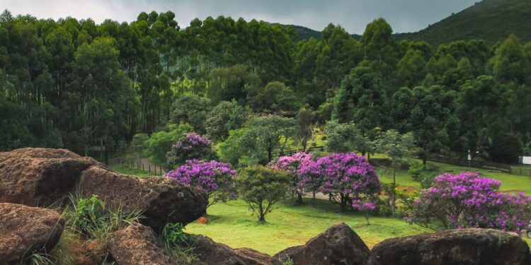 Poços de Caldas (imagem: Gustavo Asciutti - Getty Images via Canva)