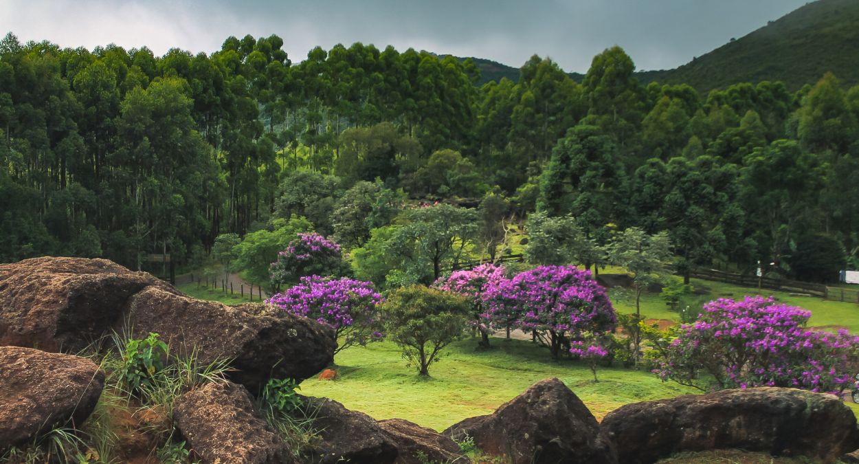 Poços de Caldas (imagem: Gustavo Asciutti - Getty Images via Canva)