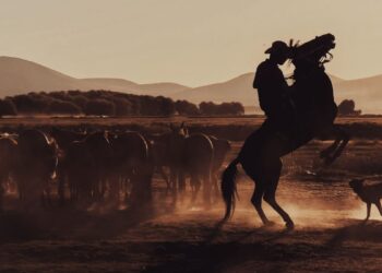 Rodeio (imagem: Mehmet Turgus - Pexels via Canva)