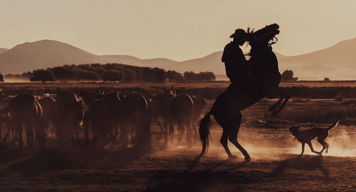 Rodeio (imagem: Mehmet Turgus - Pexels via Canva)
