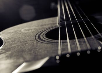 Festival de Sanfona & Viola 2026: Datas, atrações e guia completo