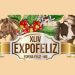 ExpoFeliz 2026 em Espera Feliz terá shows gratuitos de 9 a 12 de julho