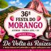 Festa do Morango de Pedra Azul 2026 divulga programação com shows e tradição