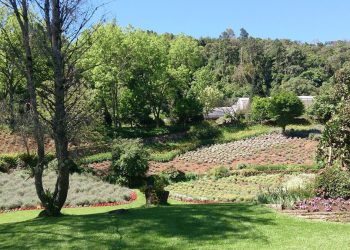 Le Jardin Parque de Lavanda (imagem: Lúcia Bischoff - Wikimedia Commons - Creative Commons Attribution-Share Alike 4.0 International)