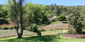 Le Jardin Parque de Lavanda (imagem: Lúcia Bischoff - Wikimedia Commons - Creative Commons Attribution-Share Alike 4.0 International)