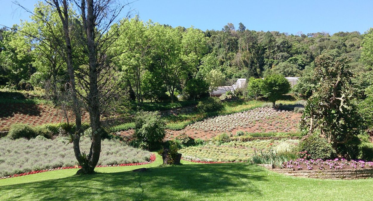 Le Jardin Parque de Lavanda (imagem: Lúcia Bischoff - Wikimedia Commons - Creative Commons Attribution-Share Alike 4.0 International)