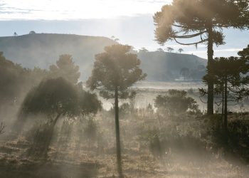 Serra Catarinense (imagem: Global_Pics de Getty Images via Canva)