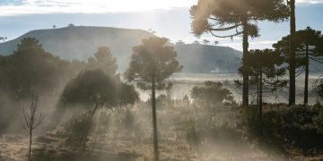 Serra Catarinense (imagem: Global_Pics de Getty Images via Canva)