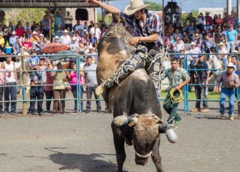 Festa do Peão de Barretos 2026 terá rodeio milionário e 11 dias de atrações