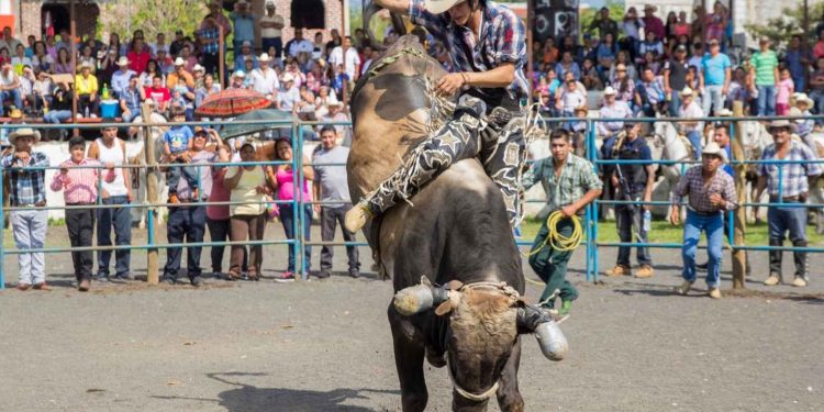 Festa do Peão de Barretos 2026 terá rodeio milionário e 11 dias de atrações