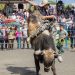Festa do Peão de Barretos 2026 terá rodeio milionário e 11 dias de atrações