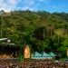 Rock The Mountain 2026 (Imagem: divulgação)