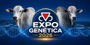 Atrações da ExpoGenética 2026