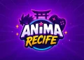 informações anima recife 2027