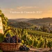 datas e atrações vindima de gramado 2027