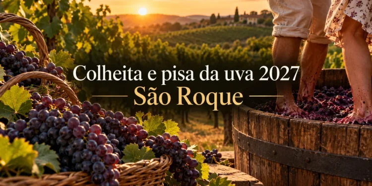 colheita e pisa da uva em são roque 2027