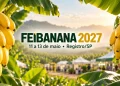 informações feibanana 2027