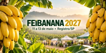 informações feibanana 2027